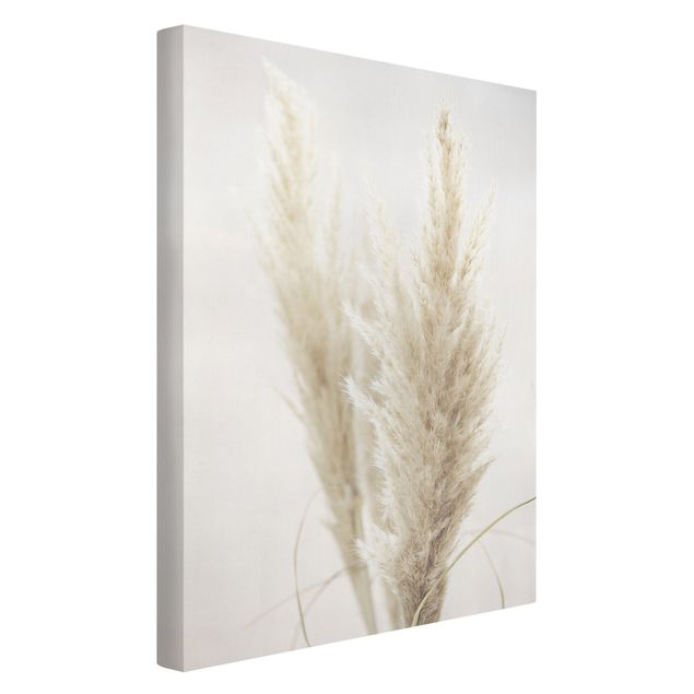 Obrazy z motywem kwiatowym Puszysta trawa pampasowa