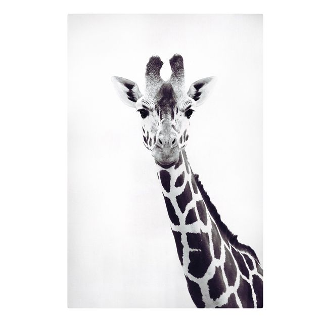 Żyrafa obraz Portret żyrafy w czerni i bieli