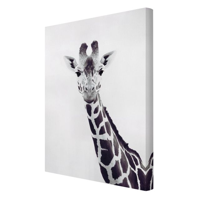 Czarno białe obrazy Portret żyrafy w czerni i bieli