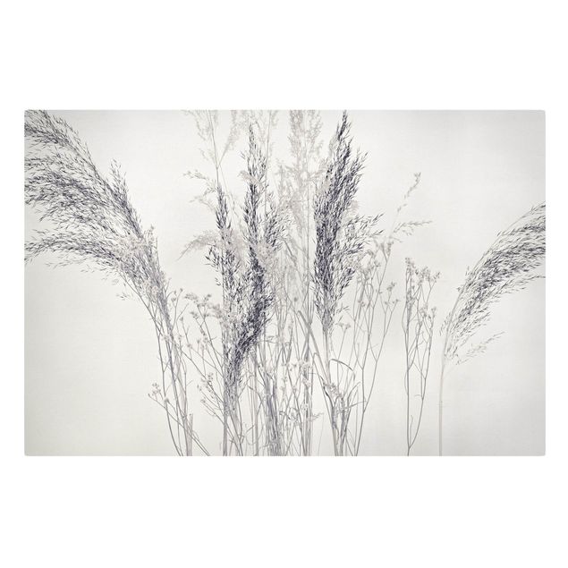 Obrazy z motywem kwiatowym Odmiany trawy