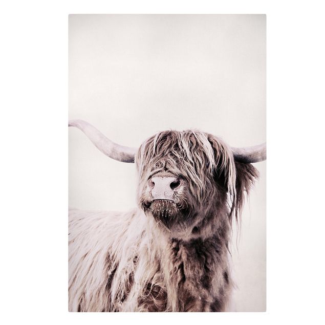 Czarno białe obrazy Highland Cattle Frida w kolorze beżowym