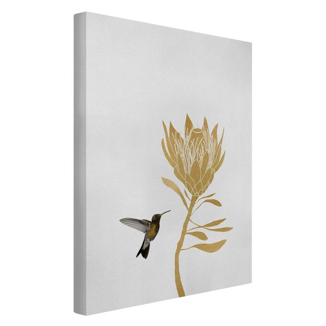 Zwierzęta obrazy Koliber i tropikalny złoty kwiat