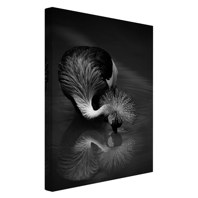 Obrazy zwierzęta Korona żurawia kokarda czarno-biały