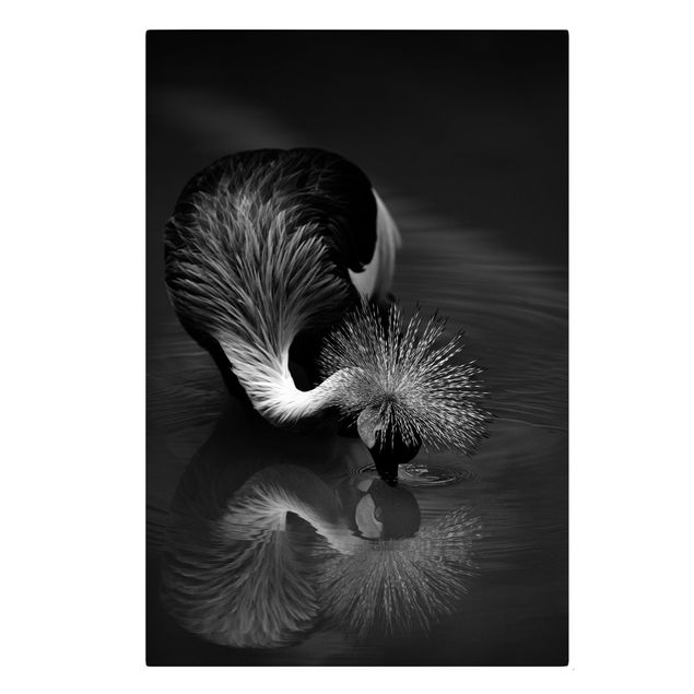 Obrazy ptaki na płótnie Korona żurawia kokarda czarno-biały