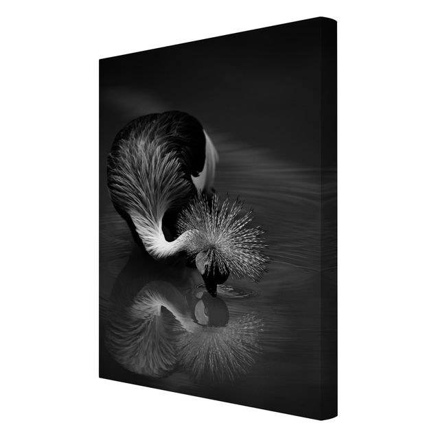 Czarno białe obrazy Korona żurawia kokarda czarno-biały