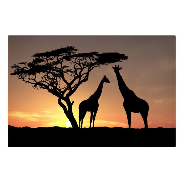 Obrazy zwierzęta Zachód słońca w Afryce