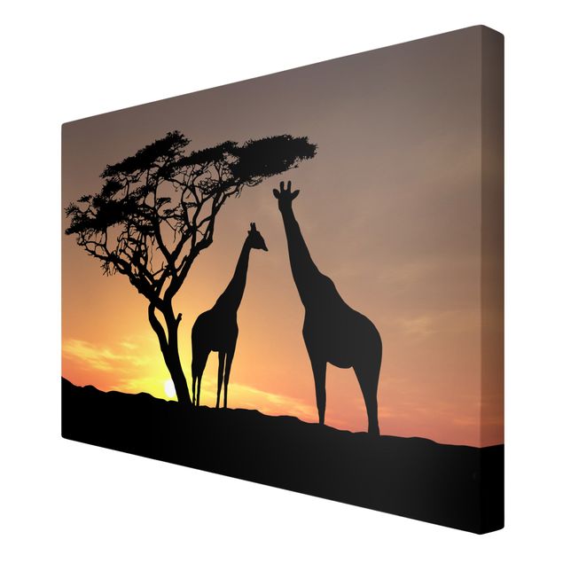 Żyrafa obraz Zachód słońca w Afryce