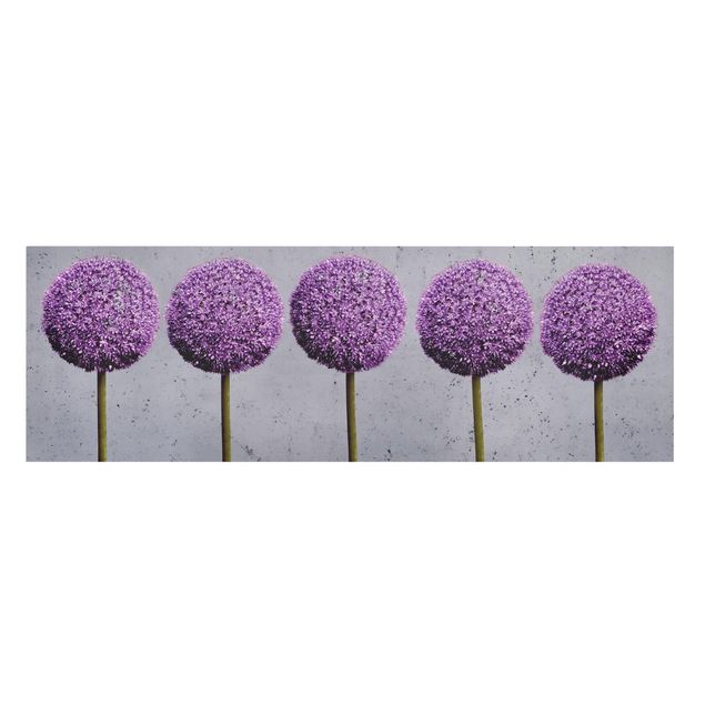 Obrazy Kwiaty kuliste Allium