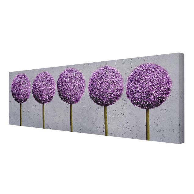 Obrazy na płótnie Kwiaty kuliste Allium