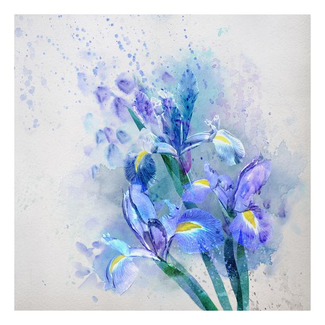 Obrazy z motywem kwiatowym Akwarela Kwiaty Irys