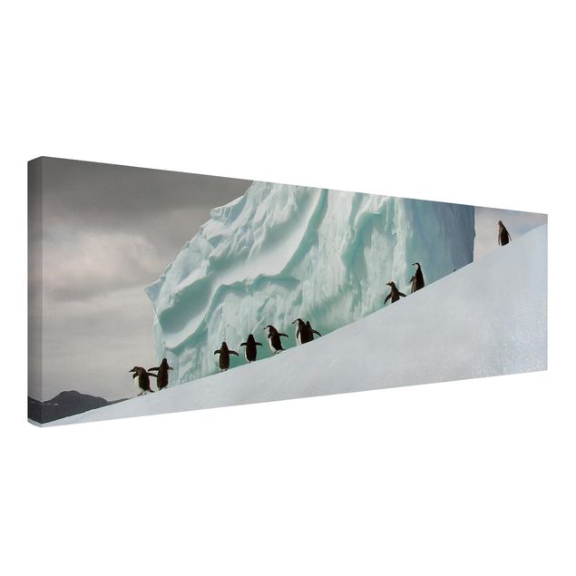 Obrazy góry Pingwiny arktyczne