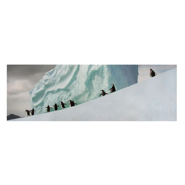 Obrazy krajobraz Pingwiny arktyczne