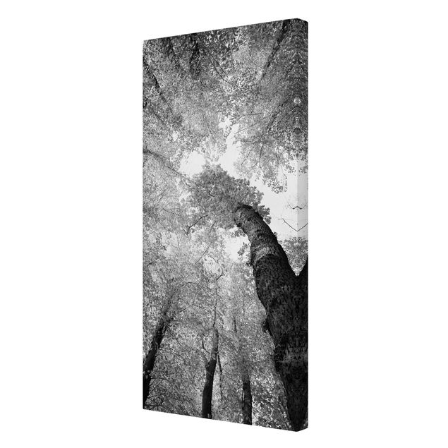 Czarno białe obrazki Drzewa życia II