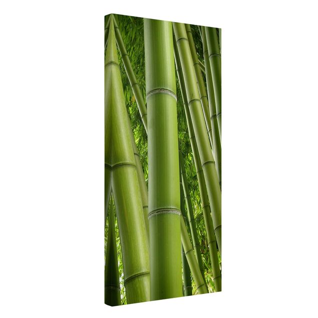 Obrazy drzewa Drzewa bambusowe