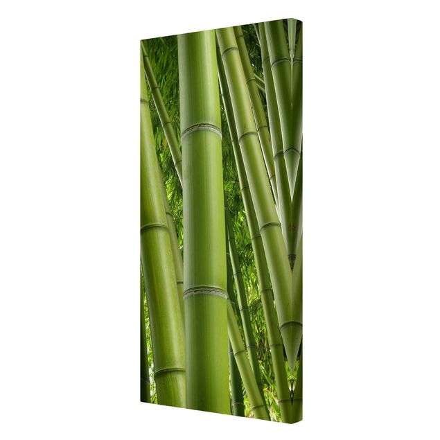 Obrazy bambus Drzewa bambusowe