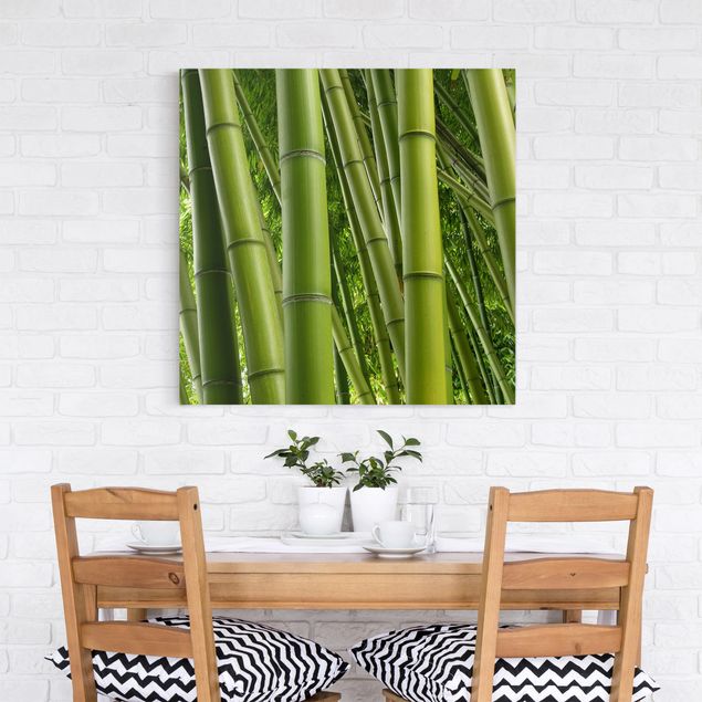 Obrazy do salonu nowoczesne Drzewa bambusowe