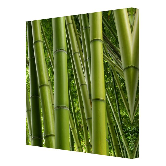 Obrazy bambus Drzewa bambusowe