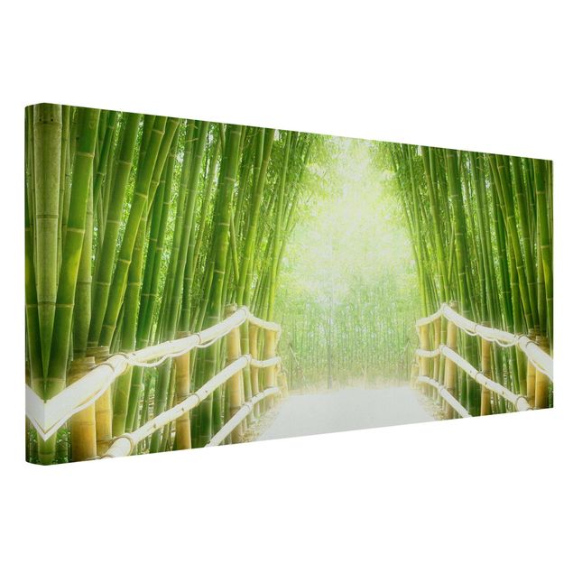 Drzewo obraz Droga bambusowa