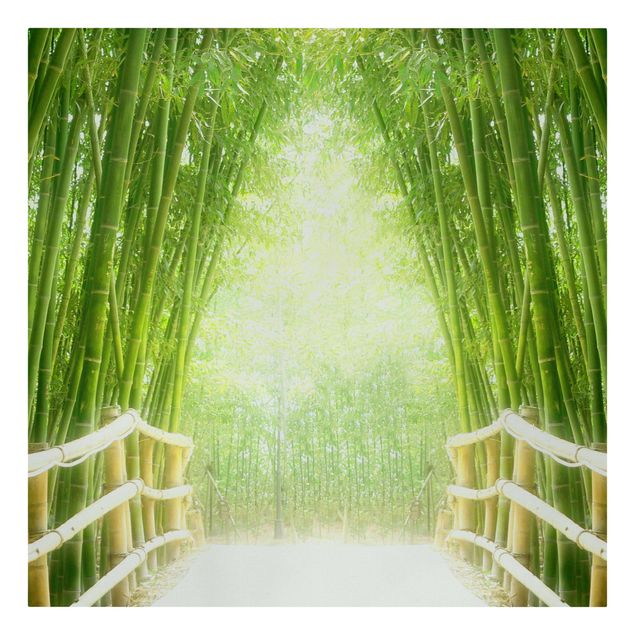 Obrazy na ścianę krajobrazy Droga bambusowa