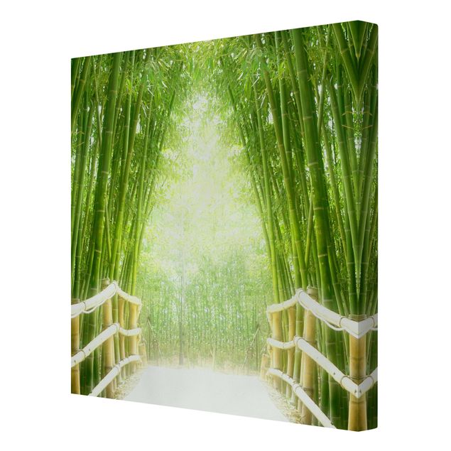 Obrazy bambus Droga bambusowa