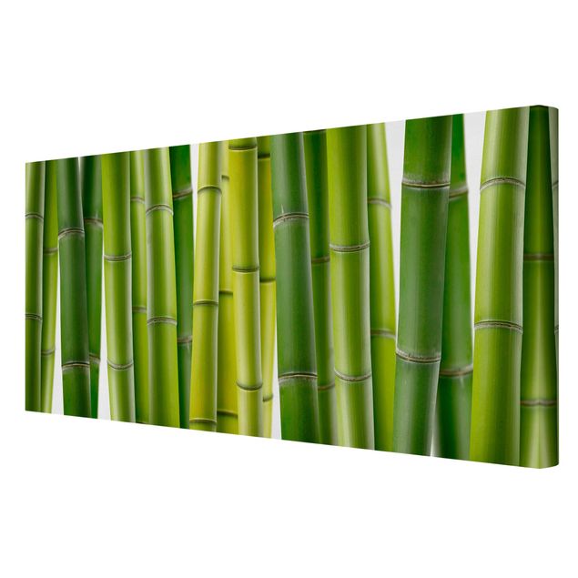 Obrazy bambus Rośliny bambusowe
