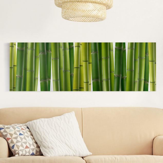 Obrazy do salonu Rośliny bambusowe