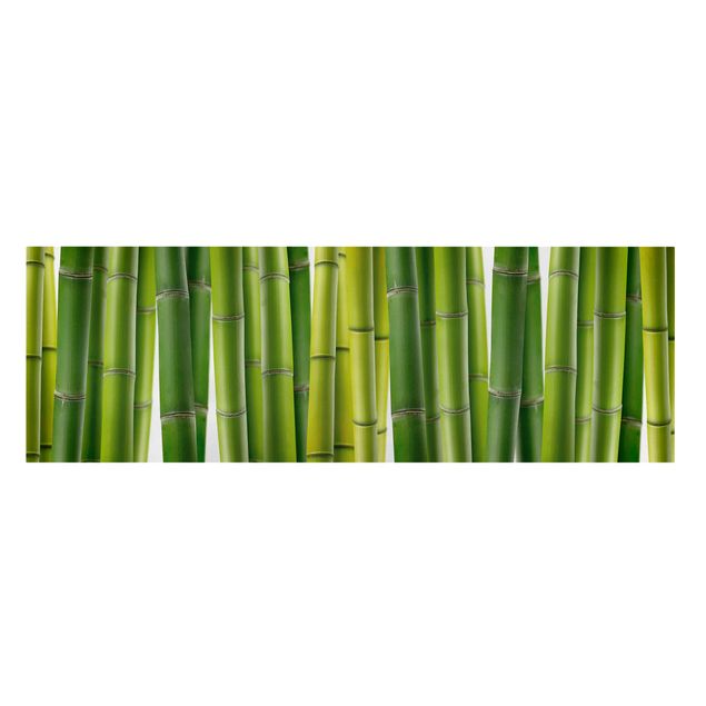 Obrazy krajobraz Rośliny bambusowe