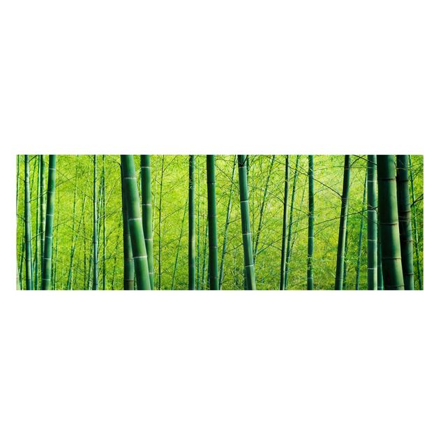 Obrazy krajobraz Las bambusowy Nr 2