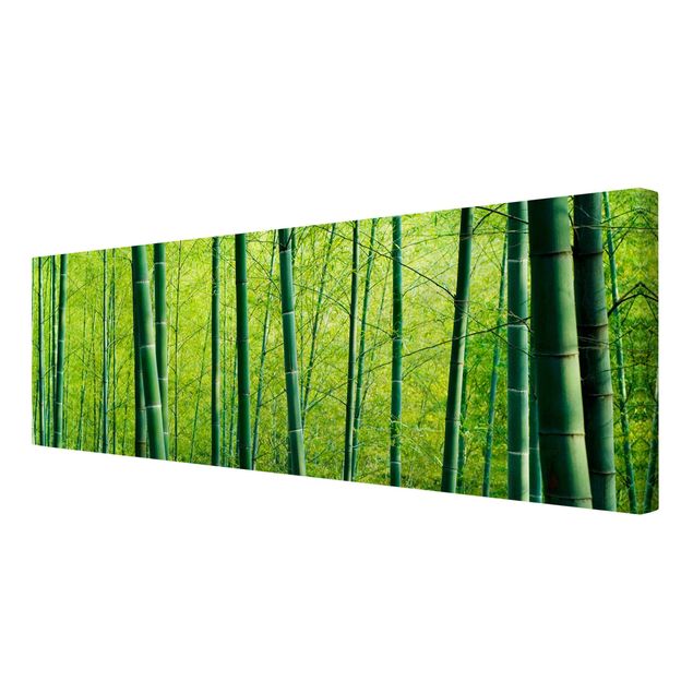 Obrazy bambus Las bambusowy Nr 2