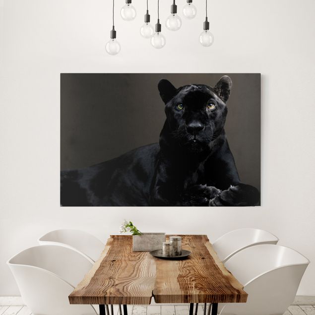 Obrazy nowoczesne Czarna Puma
