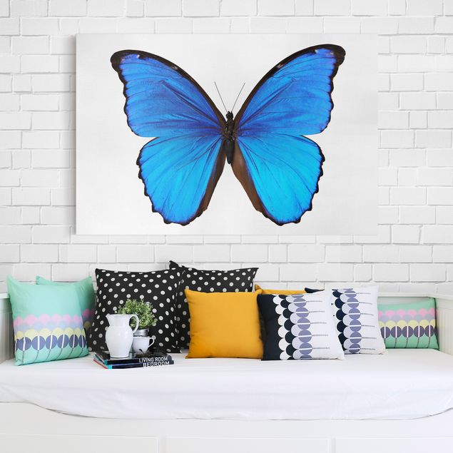 Nowoczesne obrazy do salonu Motyl morfiny niebieskiej