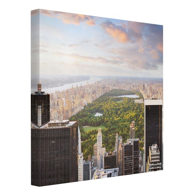 Obrazy nowoczesne Widok na Central Park