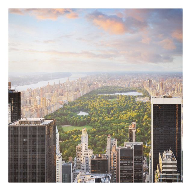 Obrazy Nowy Jork Widok na Central Park