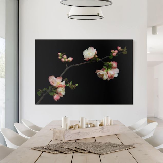 Nowoczesne obrazy do salonu Jabłoń z kwitnącą gałązką