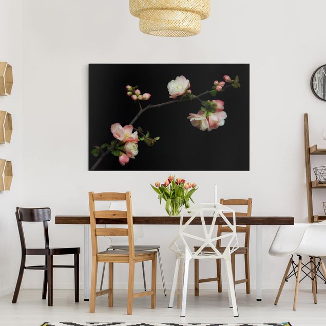 Obrazy nowoczesny Jabłoń z kwitnącą gałązką