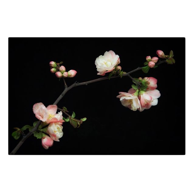 Obrazy motywy kwiatowe Jabłoń z kwitnącą gałązką