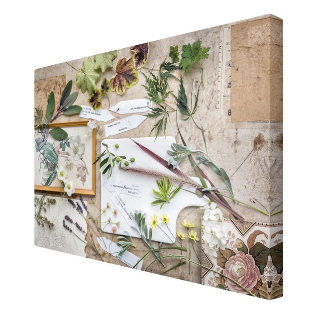 Obrazy na ścianę Kwiaty i zioła ogrodowe Vintage