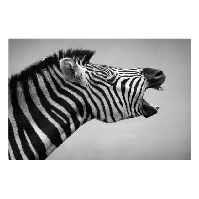 Obrazy afryka Rycząca Zebra II