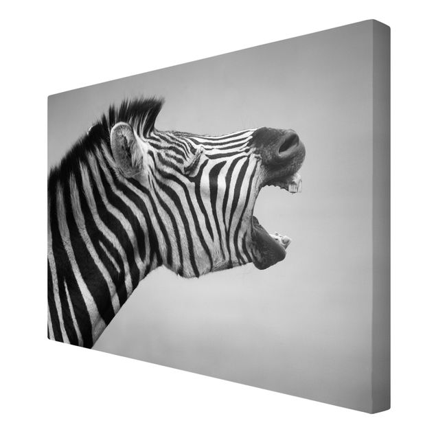 Zebra obraz Rycząca Zebra II