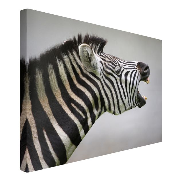 Obrazy zwierzęta Rycząca Zebra