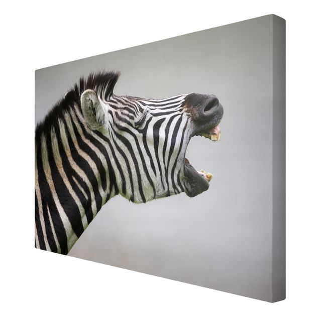 Obrazy na płótnie zebra Rycząca Zebra