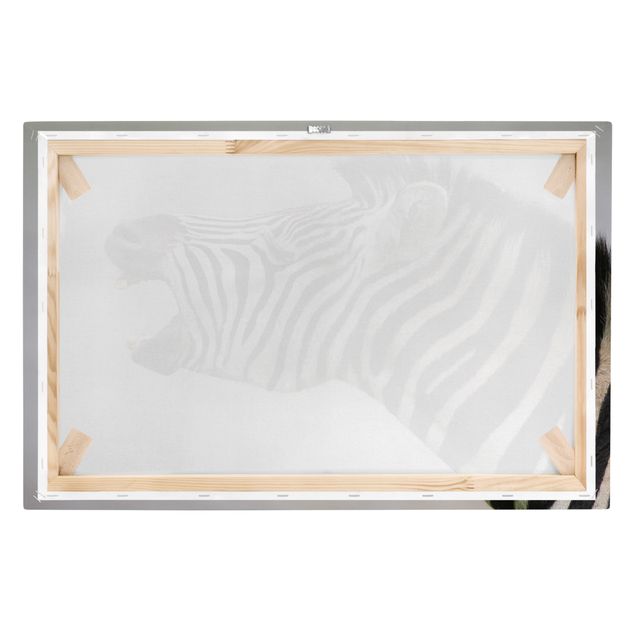 Obrazy na płótnie zwierzęta Rycząca Zebra