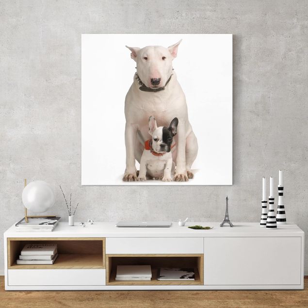 Nowoczesne obrazy do salonu Bull Terrier i przyjaciel