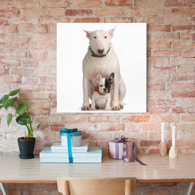 Obrazy nowoczesny Bull Terrier i przyjaciel