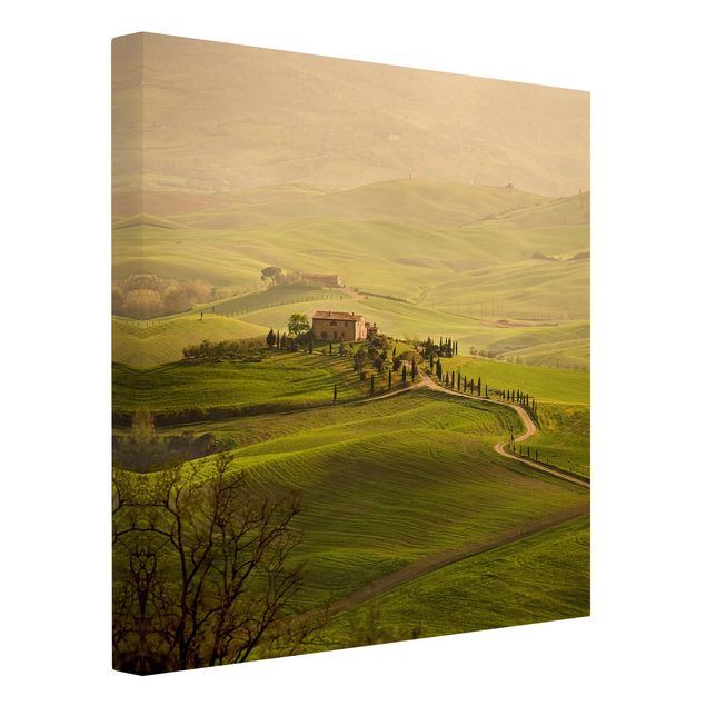 Obrazy na ścianę krajobrazy Chianti Toskania