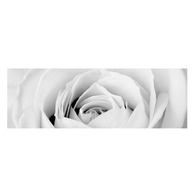 Czarno białe obrazy Róża z bliska