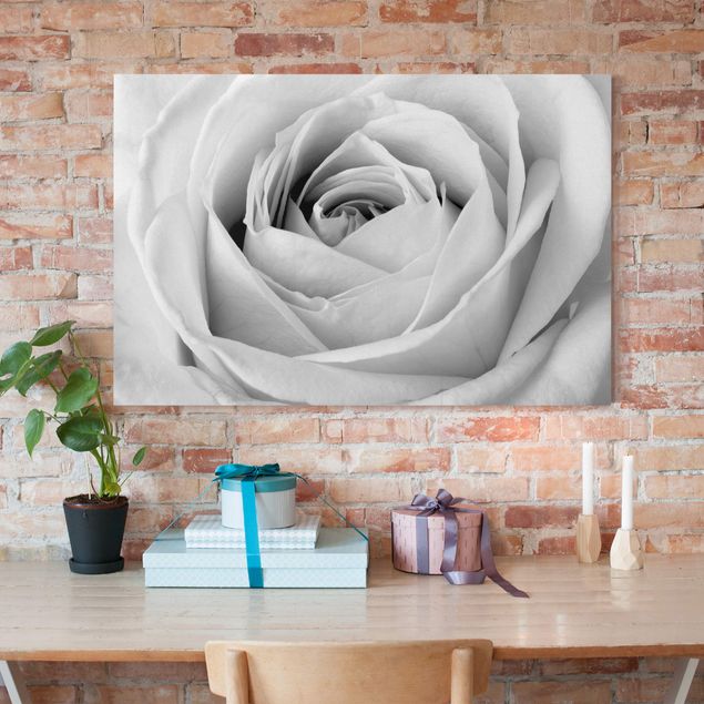 Obrazy na płótnie róże Róża z bliska