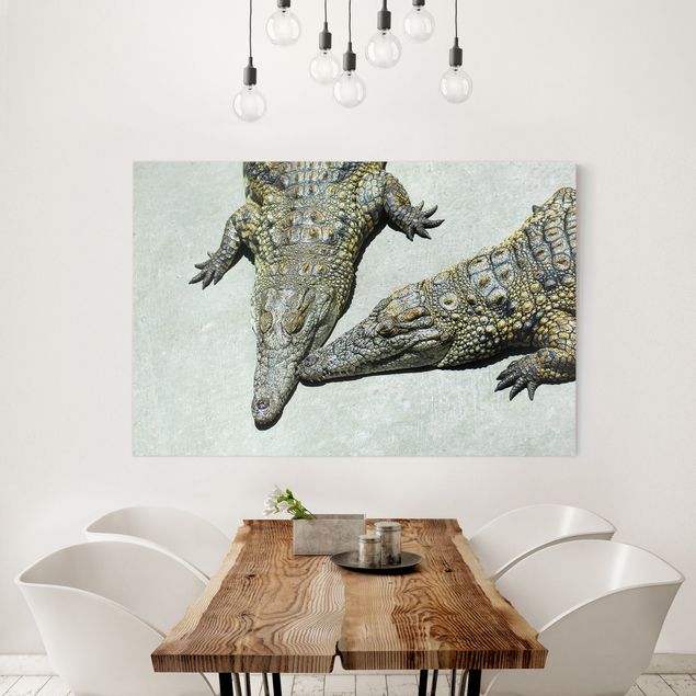 Nowoczesne obrazy do salonu Romans krokodyla