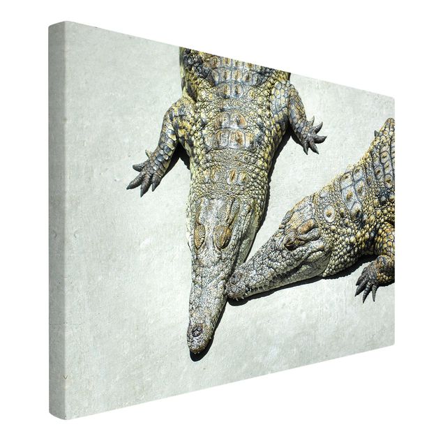 Obrazy ze zwierzętami Romans krokodyla