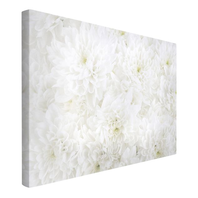 Obrazy kwiatowe Dahlie Morze kwiatów białe